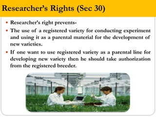 Farmers Rights Vs Researchers Rights 'Protection of Plant Varieties & Farmers’ Rights Act under Intellectual ...