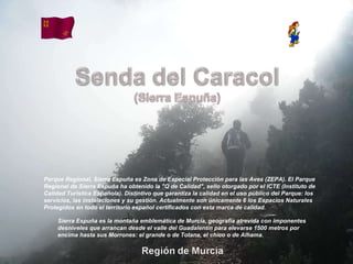 Álbum de fotografías por apala Sierra Espuña es la montaña emblemática de Murcia, geografía atrevida con imponentes desniveles que arrancan desde el valle del Guadalentín para elevarse 1500 metros por encima hasta sus Morrones: el grande o de Totana, el chico o de Alhama. Parque Regional, Sierra Espuña es Zona de Especial Protección para las Aves (ZEPA). El Parque Regional de Sierra Espuña ha obtenido la &quot;Q de Calidad&quot;, sello otorgado por el ICTE (Instituto de Calidad Turística Española). Distintivo que garantiza la calidad en el uso público del Parque: los servicios, las instalaciones y su gestión. Actualmente son únicamente 6 los Espacios Naturales Protegidos en todo el territorio español certificados con esta marca de calidad.  