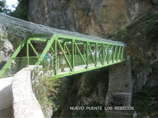 NUEVO PUENTE LOS REBECOS

 