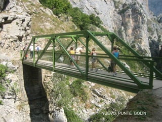 NUEVO PUNTE BOLIN

 