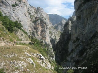 COLLADO DEL PANDO

 
