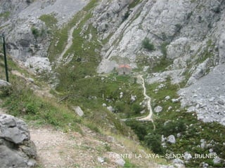 PUENTE LA JAYA – SENDA A BULNES

 