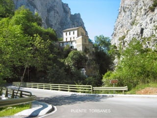 PUENTE TORBANES

 