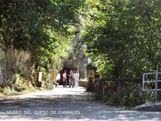 MUSEO DEL QUESO DE CABRALES

 