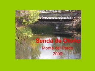 Senda de Otoño Monte del Pardo 2009 