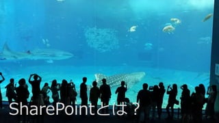 SharePointとは？
 