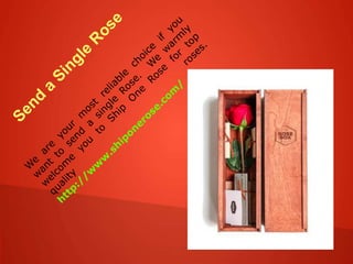 Red Rose Meaning