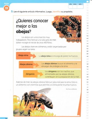 &.ftA
Lee el siguiente artículo informativo. Luego, su Propósito.
¿Quieres conocer
me¡or o los
obefos?
Las abejas son unos insectos muy
trabajadores. Para fabricar una sola gota de
deben recoger el néctar de unas 400 flores.
Las abejas viven en colmenas y están organizadas por
grupos según su tarea:
Abeja reina La abeja reina se encarga de poner los huevos
Abejas obreras Las abejas obreras buscan el alimento y se
encargan de proteger a la reina.
Los zánganos son los machos, que
alimentados por las abejas obreras,
contribuyen en la preparación de la miel.
Zánganos
Además de miel, las abejas obrerasfabrican jalea real para la reina. Este es
un alimento con vitaminas que permite a la reina poner muchos huevos.
-74
 