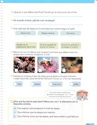 ¿Oué es lo que debes identificar? Guíate por la instrucción de la ficha
De acuerdo al texto, ¿dónde viven las abejas?
Une cada tipo de abeja con la actividad que realizan según el texto.
Abeja reina Abejas obreras Zánqanos
Ayudan en la
preparación de la miel.
Es la encargada de
poner los huevos.
Buscan el alimento y
protegen a la reina.
que deben hacer las
Marca con un el dibujo que muestra lo primero
abejas para com enzar a preparar la miel.
Subraya en el texto el tipo de abeja que se
Luego responde: ¿Oué alimentos fabrican?
miel néctar
dedica a buscar
Coloca un en
jalea real
alimento.
tus respuestas.
polen
?ecuerda sequir los pasos que
aprendisLe enlae páginas 10 y 11 para
conleelar esLeLipo de pregunla.
¿Para qué fue escrito este texto? Marca con una X la alternativa con la
respuesta correcta.
Para explicar cómo preparan la miel las abejas.
{ furu informar que las abejas son insectos.
C I Para informar cómo son las abejas, qué tipos existen y qué fabrican.
á
-7-l
 