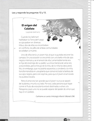 Lee y responde las preguntas 'l 2 y 13.
EI origen del
Calafate ,,,,
(Leyenda Se k'nam)
Cuando los Selk'nan'r
habitaban la Trerra del Fuego
se agrupaban en diversas
tribus; dos de ellas se encontraban
en conflicto, los jefes de ambas comunidades
se odraban a muerte.
Uno de ellos tenia un joven hijo alque e gustaba recorrer los
campos. En una ocasión se encontró con una bella niña de ojos
negros intensos y se enamoró de ella. Lamentablen¡ente era
la hija del enemigo de su padre. La únrca rnanera de verse era
a escondidas, pero el brujo de la tribu de la niña los descubrió.
Vio, sin embargo, que no podría separarlos y condenó a la niña,
transformándola en una planta que conservó toda la belleza de
sus ojos negros, pero con espinas, para que eljoven enan'¡orado
no pudiera tocarla.
Pero el amor era tan grande que eljoven nunca se separó
de la planta y murió a su lado. Por eso, cada persona que logre
comer el fruto de esta planta estará destrnada a volver a la
Patagonia, pues uno no se puede separar del poder de amor que
hay en el calafate.
Cuéntame un cuento: Antología infantil. Editorial LOM.
 