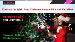Embrace the Spirit: Send Christmas Roses to USA with Flora2000
 