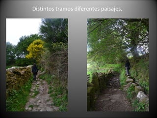 Distintos tramos diferentes paisajes.
 