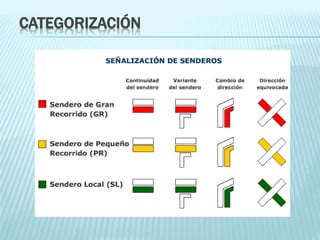 CATEGORIZACIÓN
 