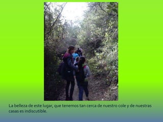 La belleza de este lugar, que tenemos tan cerca de nuestro cole y de nuestras
casas es indiscutible.
 