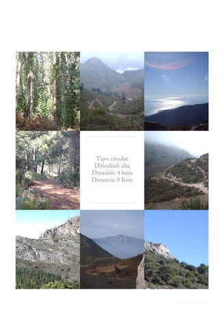 Tipo: circular 
Dificultad: alta 
Duración: 4 hora 
Distancia: 8 Kms 
www.marbellabook.com 
 