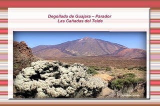 Degollada de Guajara – Parador 
Las Cañadas del Teide 
 