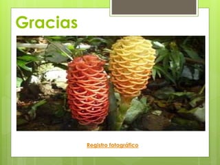 Gracias
Registro fotográfico
 
