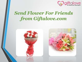 Send Flower For Friends
from Giftalove.com
 