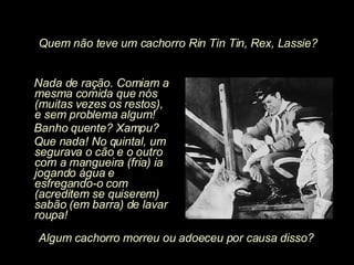 Nada de ração. Comiam a mesma comida que nós (muitas vezes os restos), e sem problema algum! Banho quente? Xampu? Que nada! No quintal, um segurava o cão e o outro com a mangueira (fria) ia jogando água e esfregando-o com (acreditem se quiserem) sabão (em barra) de lavar roupa! Algum cachorro morreu ou adoeceu por causa disso? Quem não teve um cachorro Rin Tin Tin, Rex, Lassie? 