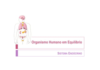 Organismo Humano em Equilíbrio

               SISTEMA ENDÓCRINO
 