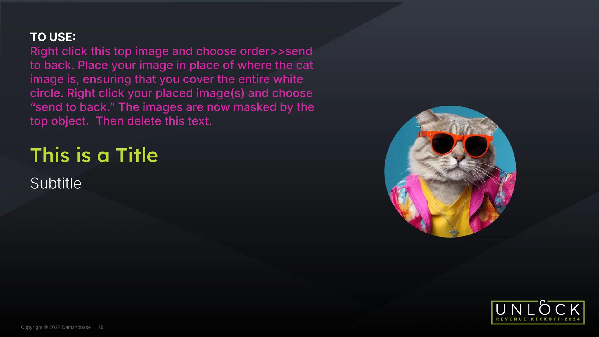 Copyright © 2024 Demandbase
TO USE
Right click this top image and choose order>>send
to back. Place your image in place of where the cat
image is, ensuring that you cover the entire white
circle. Right click your placed image(s) and choose
“send to back.ˮ The images are now masked by the
top object. Then delete this text.
Copyright © 2024 Demandbase 12
This is a Title
Subtitle
 