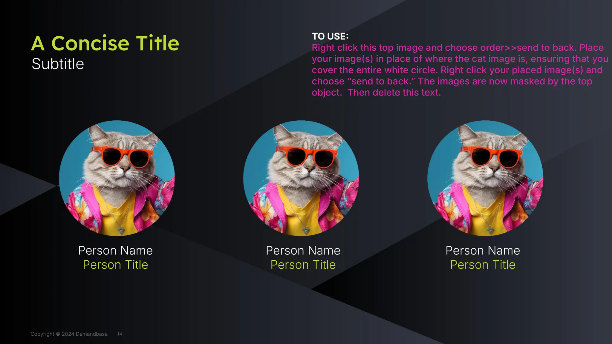 Copyright © 2024 Demandbase
A Concise Title
Subtitle
TO USE
Right click this top image and choose order>>send to back. Place
your image(s) in place of where the cat image is, ensuring that you
cover the entire white circle. Right click your placed image(s) and
choose “send to back.ˮ The images are now masked by the top
object. Then delete this text.
Person Name
Person Title
Person Name
Person Title
Person Name
Person Title
Copyright © 2024 Demandbase 14
 