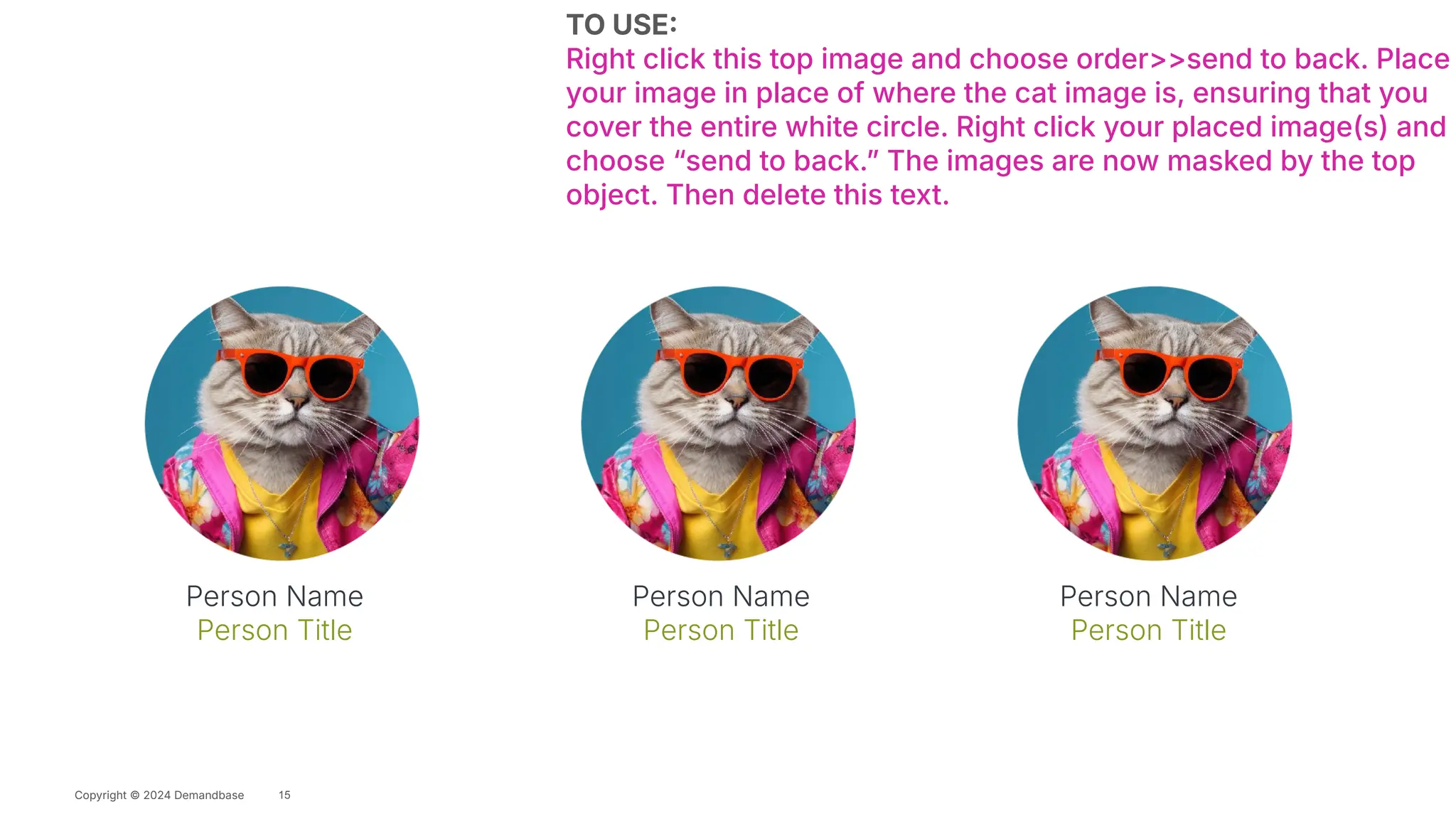 Copyright © 2024 Demandbase
A Concise Title
Subtitle
Copyright © 2024 Demandbase
Person Name
Person Title
Person Name
Person Title
Person Name
Person Title
TO USE
Right click this top image and choose order>>send to back. Place
your image in place of where the cat image is, ensuring that you
cover the entire white circle. Right click your placed image(s) and
choose “send to back.ˮ The images are now masked by the top
object. Then delete this text.
15
 