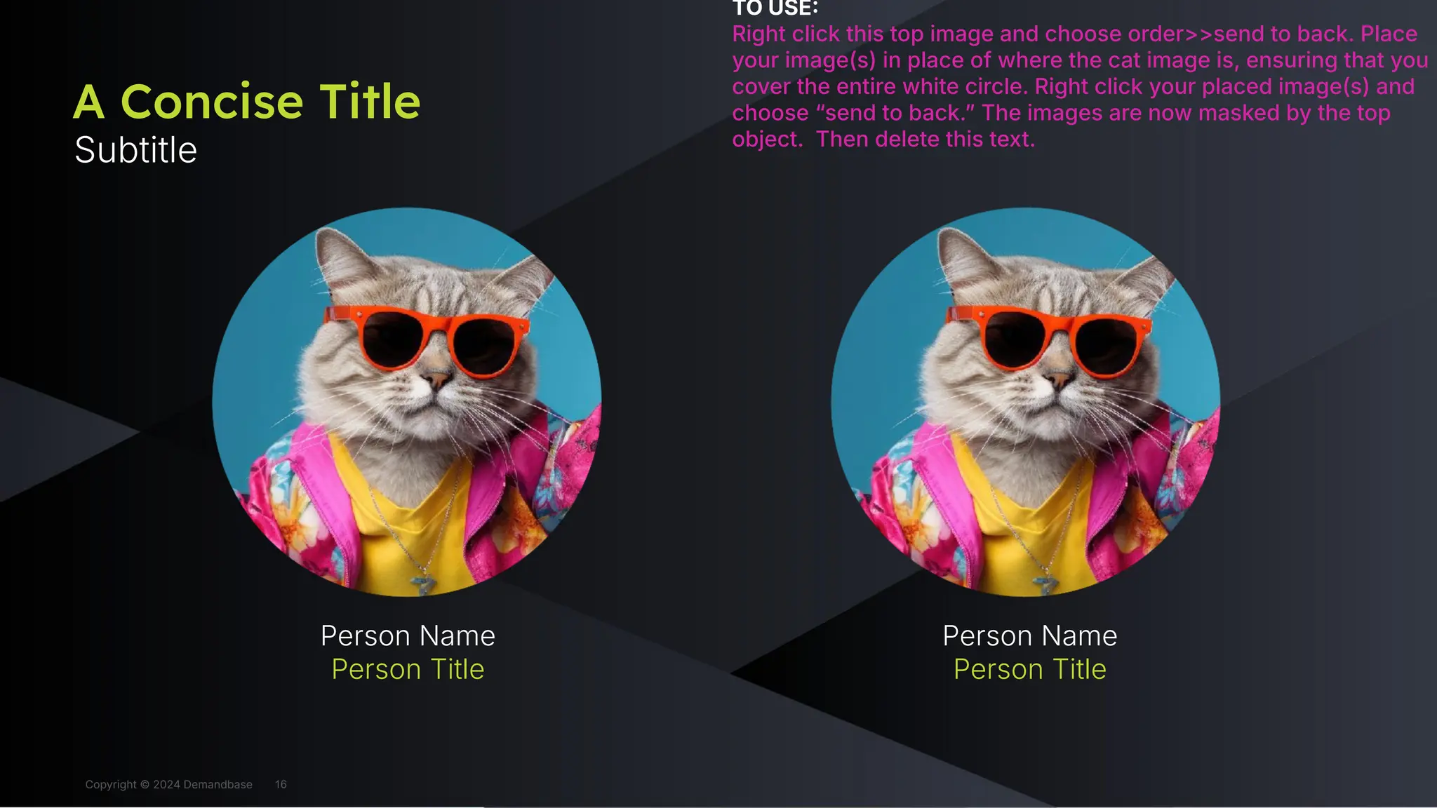 Copyright © 2024 Demandbase
A Concise Title
Subtitle
TO USE
Right click this top image and choose order>>send to back. Place
your image(s) in place of where the cat image is, ensuring that you
cover the entire white circle. Right click your placed image(s) and
choose “send to back.ˮ The images are now masked by the top
object. Then delete this text.
Person Name
Person Title
Person Name
Person Title
16
Copyright © 2024 Demandbase
 