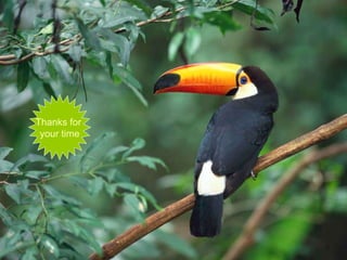 Thanks for  your time 