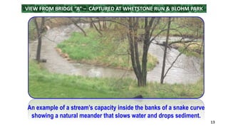 13 
VIEW FROM BRIDGE “A” – CAPTURED AT WHETSTONE RUN & BLOHM PARK 
An example of a stream’s capacity inside the banks of a snake curve 
showing a natural meander that slows water and drops sediment. 
 