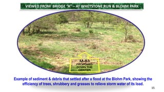 Example of sediment & debris that settled after a flood at the Blohm Park, showing the 
efficiency of trees, shrubbery and grasses to relieve storm water of its load. 
15 
VIEWED FROM BRIDGE “A” – AT WHETSTONE RUN & BLOHM PARK 
 