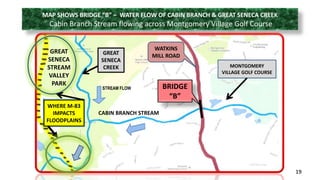 MAP SHOWS BRIDGE “B” – WATER FLOW OF CABIN BRANCH & GREAT SENECA CREEK 
Cabin Branch Stream flowing across Montgomery Village Golf Course 
19 
WATKINS 
MILL ROAD 
BRIDGE 
“B” 
MONTGOMERY 
VILLAGE GOLF COURSE 
GREAT 
SENECA 
CREEK 
CABIN BRANCH STREAM 
WHERE M-83 
IMPACTS 
FLOODPLAINS 
STREAM FLOW 
GREAT 
SENECA 
STREAM 
VALLEY 
PARK 
 