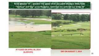 NEAR BRIDGE “B” – SHOWS THE SAME VIEW OF CABIN BRANCH TRIBUTARY 
“At Flood” and “Dry” across floodplain, taken from the same hill near bridge “B” 
21 
AT FLOOD ON APRIL 30, 2014 
(6,220 CFS) DRY ON AUGUST 7, 2014 
 