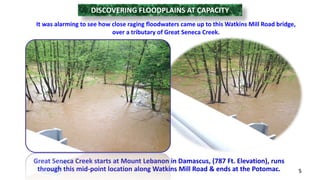 DISCOVERING FLOODPLAINS AT CAPACITY 
It was alarming to see how close raging floodwaters came up to this Watkins Mill Road bridge, 
over a tributary of Great Seneca Creek. 
Great Seneca Creek starts at Mount Lebanon in Damascus, (787 Ft. Elevation), runs 
through this mid-point location along Watkins Mill Road & ends at the Potomac. 5 
 