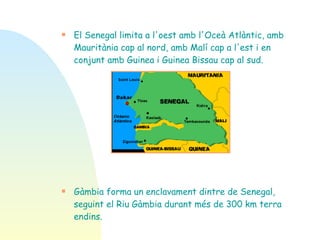 El Senegal limita a l'oest amb l'Oceà Atlàntic, amb Mauritània cap al nord, amb Malí cap a l'est i en conjunt amb Guinea i Guinea Bissau cap al sud. Gàmbia forma un enclavament dintre de Senegal, seguint el Riu Gàmbia durant més de 300 km terra endins. 