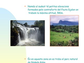 Només al sudest té petites elevacions formades pels contraforts del Fouta Djalon on  trobem la màxima altitud, 581m.  És en aquesta zona on es troba el parc natural de Niokolo Koba. 