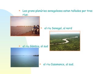 Les grans planúries senegaleses estan tallades per tres rius: el riu Senegal, al nord  el riu Gàmbia, al sud el riu Casamance, al sud. 