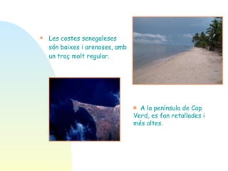 Les costes senegaleses són baixes i arenoses, amb un traç molt regular. A la península de Cap  Verd, es fan retallades i més altes. 
