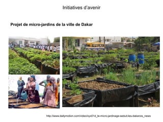 Initiatives d’avenir 
Projet de micro-jardins de la ville de Dakar 
http://www.dailymotion.com/video/xyx01d_le-micro-jardinage-seduit-les-dakarois_news 
 