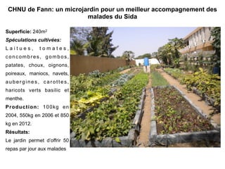 CHNU de Fann: un microjardin pour un meilleur accompagnement des 
malades du Sida 
Superficie: 240m2 
Spéculations cultivées: 
L a i t u e s , t o m a t e s , 
concombres, gombos, 
patates, choux, oignons, 
poireaux, maniocs, navets, 
aubergines, c a r o t t e s , 
haricots verts basilic et 
menthe. 
Production: 100kg en 
2004, 550kg en 2006 et 850 
kg en 2012. 
Résultats: 
Le jardin permet d’offrir 50 
repas par jour aux malades 
 