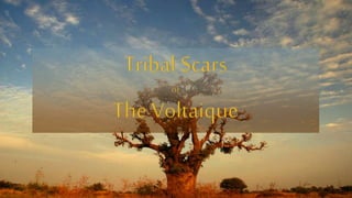 tribal scars or the voltaique