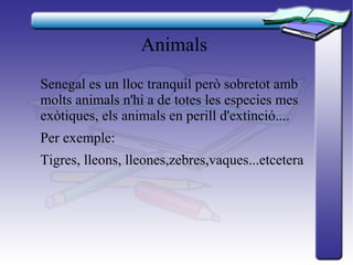 Animals
Senegal es un lloc tranquil però sobretot amb
molts animals n'hi a de totes les especies mes
exòtiques, els animals en perill d'extinció....
Per exemple:
Tigres, lleons, lleones,zebres,vaques...etcetera
 