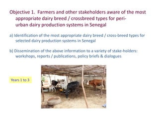Improved food and nutritional security from better utilisation of dairy cattle breed / cross-breed types in Senegal 