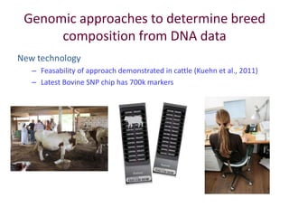 Improved food and nutritional security from better utilisation of dairy cattle breed / cross-breed types in Senegal 