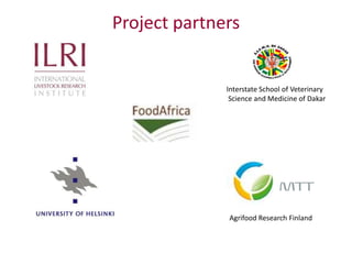 Improved food and nutritional security from better utilisation of dairy cattle breed / cross-breed types in Senegal 