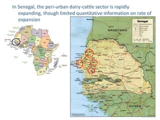 Improved food and nutritional security from better utilisation of dairy cattle breed / cross-breed types in Senegal 