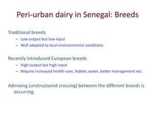 Improved food and nutritional security from better utilisation of dairy cattle breed / cross-breed types in Senegal 
