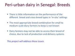 Improved food and nutritional security from better utilisation of dairy cattle breed / cross-breed types in Senegal 