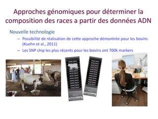 Amélioration de la sécurité alimentaire et nutritionnelle par une meilleure utilisation des races bovines laitières (pures et croisées) au Sénégal