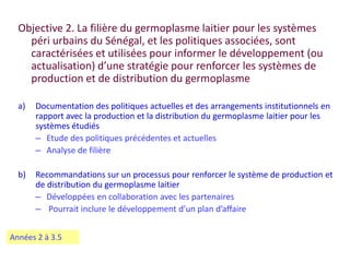 Amélioration de la sécurité alimentaire et nutritionnelle par une meilleure utilisation des races bovines laitières (pures et croisées) au Sénégal